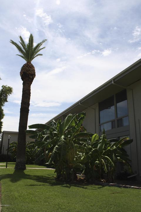 3312 E Camelback Rd #21, Phoenix, AZ 85018 photo 3