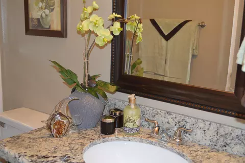 3747 E Dahlia Dr, Phoenix, AZ 85032 photo 48