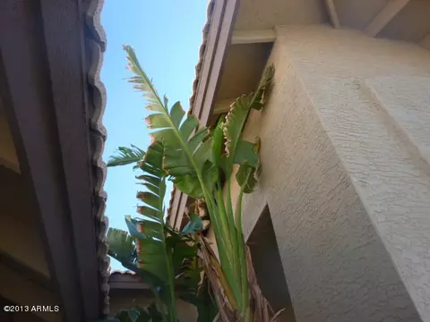 2909 E Verbena Dr, Phoenix, AZ 85048 photo 6