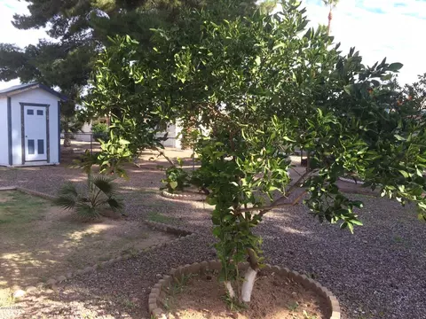 707 N 63rd Pl, Mesa, AZ 85205 photo 7