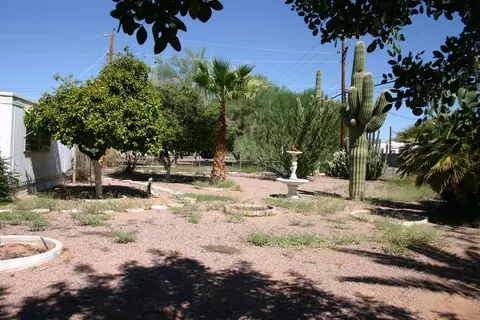 2426 W Scenic St, Apache Junction, AZ 85120 photo 19