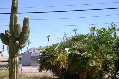 2426 W Scenic St, Apache Junction, AZ 85120 photo 28