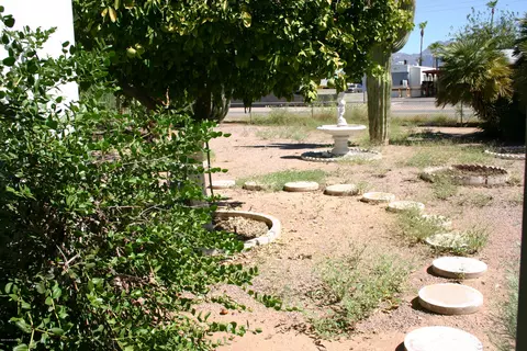 2426 W Scenic St, Apache Junction, AZ 85120 photo 30