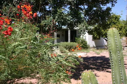 2426 W Scenic St, Apache Junction, AZ 85120 photo 26