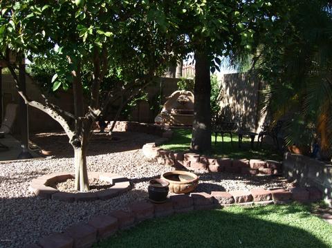2425 S Tulip Ave, Mesa, AZ 85209 photo 14