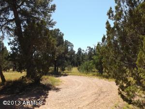 3092 Chevelon Rd, Overgaard, AZ 85933 photo 11