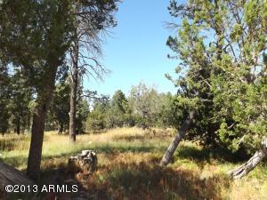 3092 Chevelon Rd, Overgaard, AZ 85933 photo 10