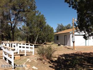 3092 Chevelon Rd, Overgaard, AZ 85933 photo 6