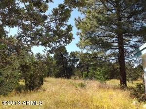3092 Chevelon Rd, Overgaard, AZ 85933 photo 13