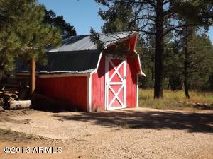 3092 Chevelon Rd, Overgaard, AZ 85933 photo 8