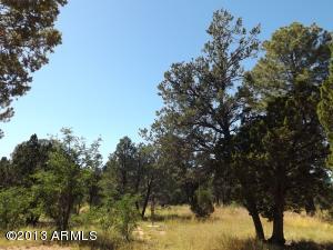 3092 Chevelon Rd, Overgaard, AZ 85933 photo 12