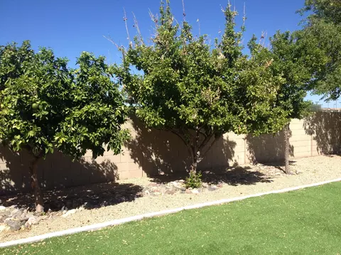 1932 E Phelps Rd, Phoenix, AZ 85022 photo 14
