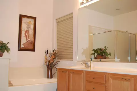 3358 E Clark Dr, Gilbert, AZ 85297 photo 10