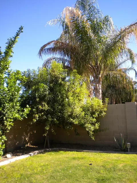 1709 S Cole Dr, Gilbert, AZ 85295 photo 21