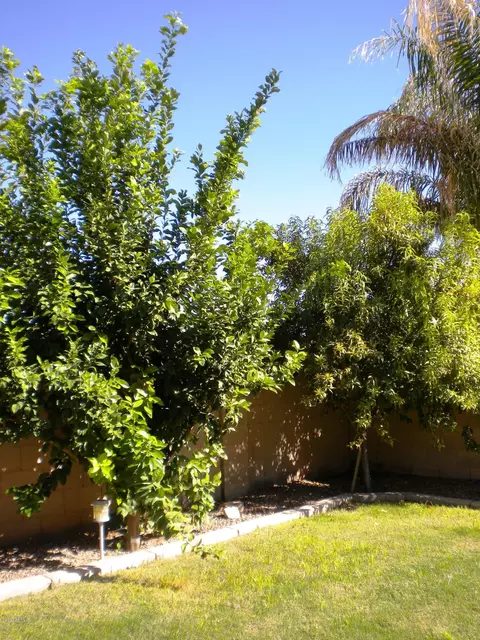 1709 S Cole Dr, Gilbert, AZ 85295 photo 22