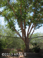 2019 E Robin Ln, Phoenix, AZ 85024 photo 24