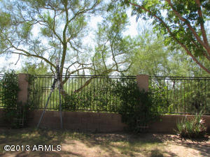 2019 E Robin Ln, Phoenix, AZ 85024 photo 20