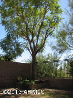 2019 E Robin Ln, Phoenix, AZ 85024 photo 25