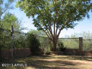 2019 E Robin Ln, Phoenix, AZ 85024 photo 23