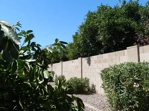 4534 Enid Cir, Mesa, AZ 85206 photo 3