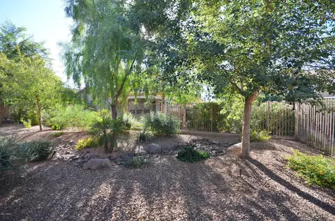 4427 E Carob Dr, Gilbert, AZ 85298 photo 22
