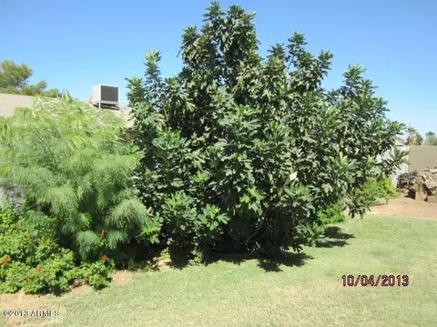 2762 E Michigan Ave, Phoenix, AZ 85032 photo 37