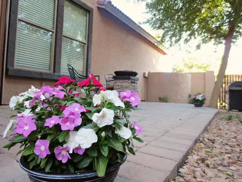 1935 E Oxford Ln, Gilbert, AZ 85295 photo 3
