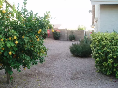 7016 E Mallory St, Mesa, AZ 85207 photo 9