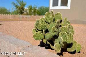 528 W Foothill St, Apache Junction, AZ 85120 photo 9