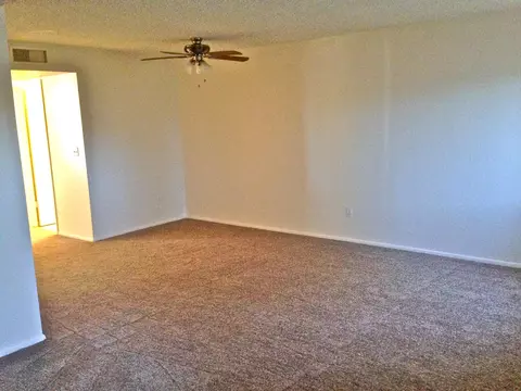 431 E Pecan Rd, Phoenix, AZ 85040 photo 4