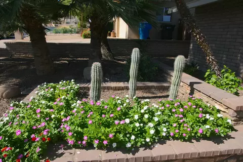2422 E Cinnabar Ave, Phoenix, AZ 85028 photo 14