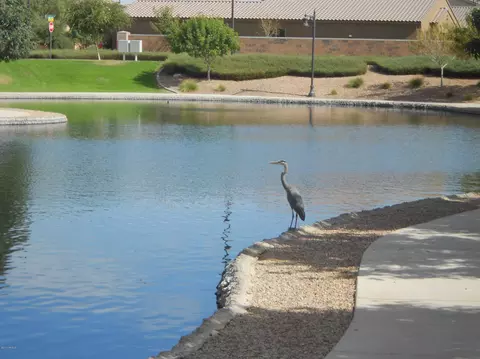 2907 E Maplewood St, Gilbert, AZ 85297 photo 28