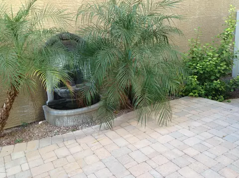 3863 Edna Dr, Gilbert, AZ 85296 photo 9