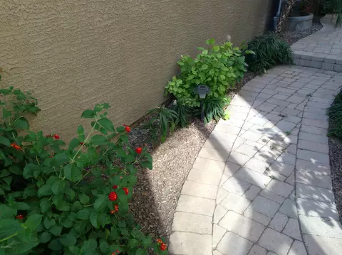 3863 Edna Dr, Gilbert, AZ 85296 photo 8