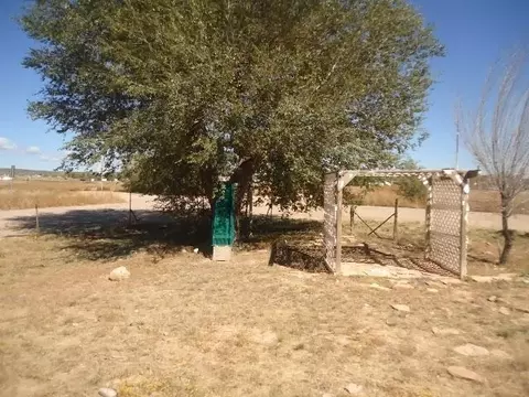 135 E Laguna Trl, Paulden, AZ 86334 photo 23