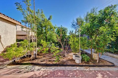11443 E Flossmoor Ave, Mesa, AZ 85208 photo 46