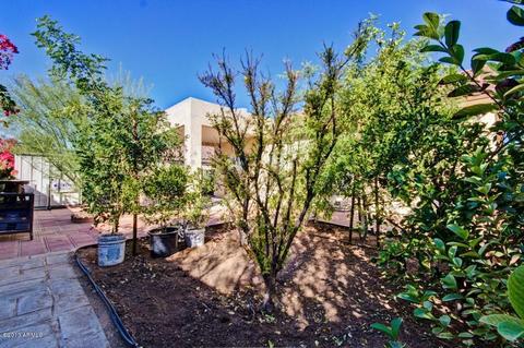 11443 E Flossmoor Ave, Mesa, AZ 85208 photo 38