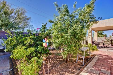 11443 E Flossmoor Ave, Mesa, AZ 85208 photo 43