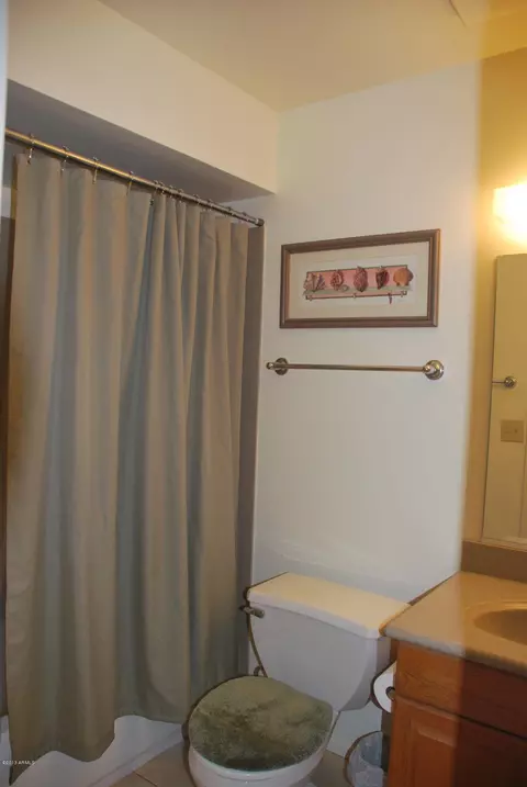 2529 E Turquoise Dr, Phoenix, AZ 85028 photo 20