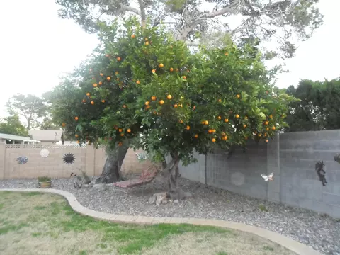 2807 E Sierra St, Phoenix, AZ 85028 photo 11