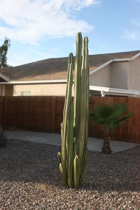 3134 E Mckellips Rd #24, Mesa, AZ 85213 photo 34