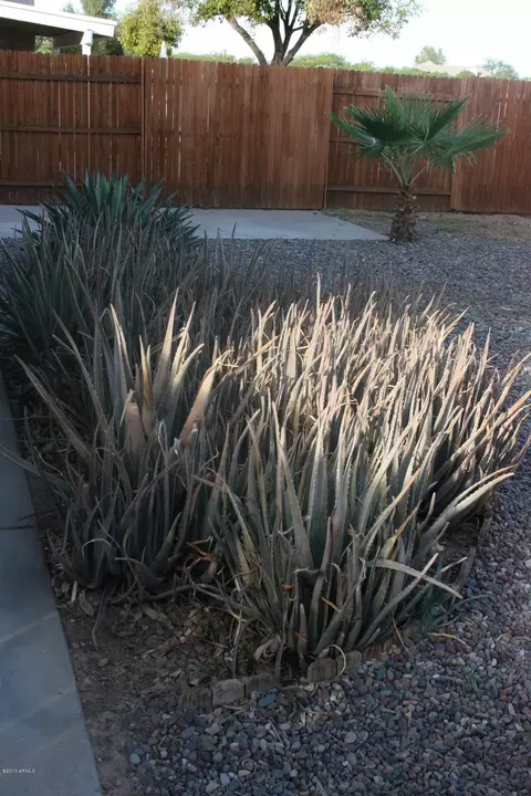 3134 E Mckellips Rd #24, Mesa, AZ 85213 photo 27