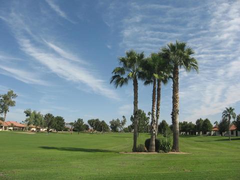 8122 E Madero Ave, Mesa, AZ 85209 photo 9