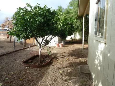 18052 N 3rd St, Phoenix, AZ 85022 photo 20