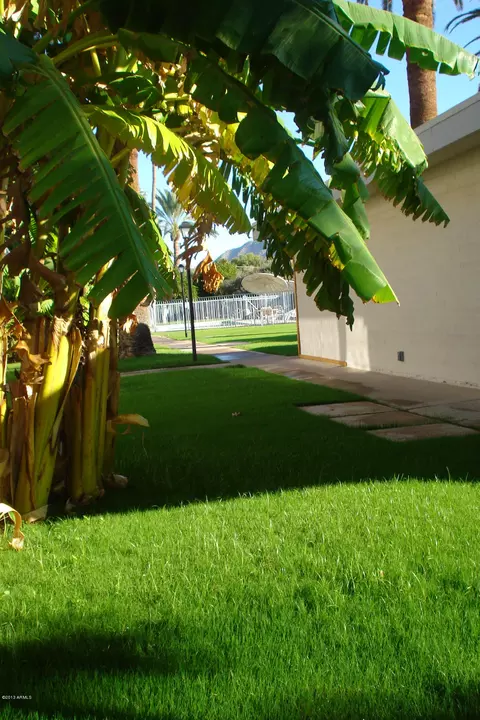 3242 E Camelback Rd #201, Phoenix, AZ 85018 photo 32