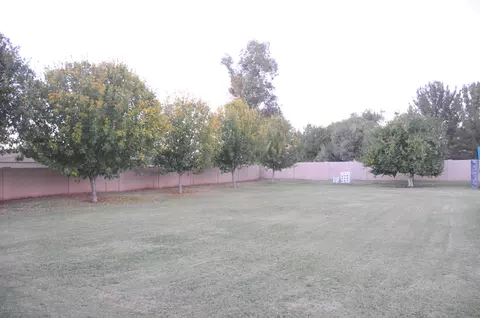 924 S Maple --, Mesa, AZ 85206 photo 29
