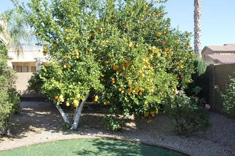 10233 E Posada Ave, Mesa, AZ 85212 photo 29