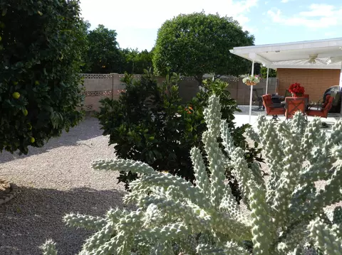 4737 E Crescent Ave, Mesa, AZ 85206 photo 6