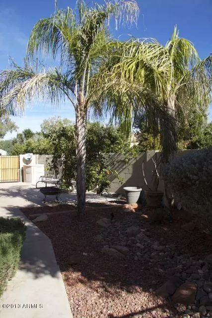 325 W Smoke Tree Rd, Gilbert, AZ 85233 photo 53