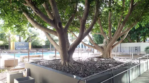 1 E Lexington Ave #902, Phoenix, AZ 85012 photo 31